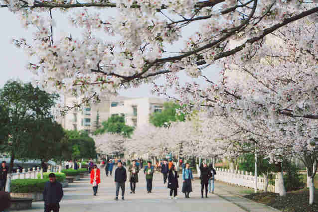 湖北经济学院全日制自考助学班工程管理怎么报名?（招生报名指南+官方指定入口）