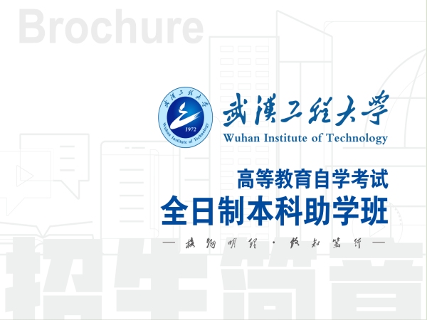 2024年武汉工程大学全日制自考本科助学班新生报名通道——报名系统入口