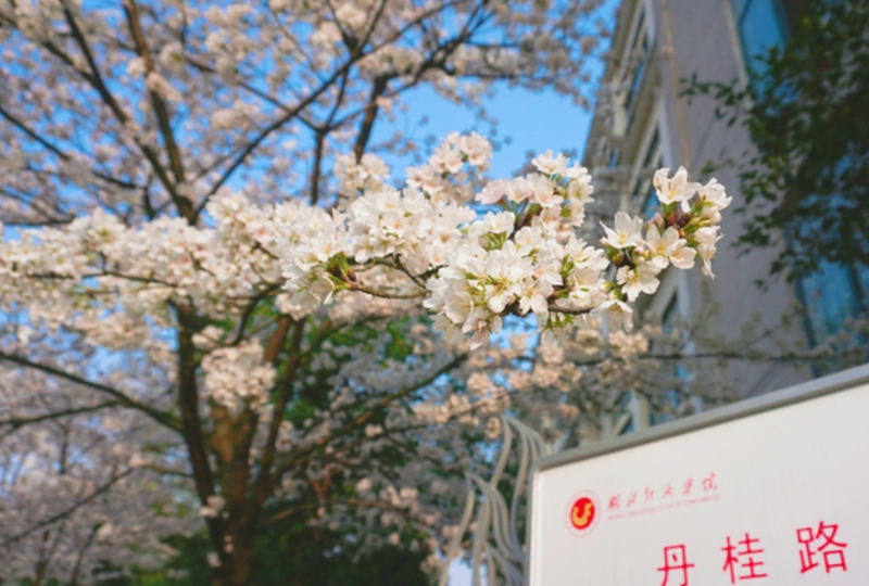 湖北经济学院全日制助学班会计专业介绍招生（招生报名指南+官方指定入口）