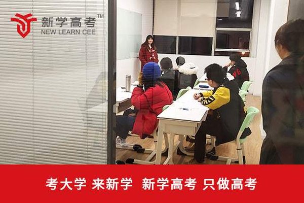 新学高考甘孜艺术生文化课补习班