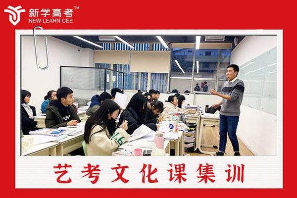 新学高考甘孜艺术生文化课补习班