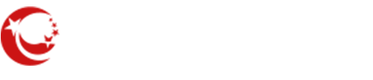 电大中专怎么查询？？