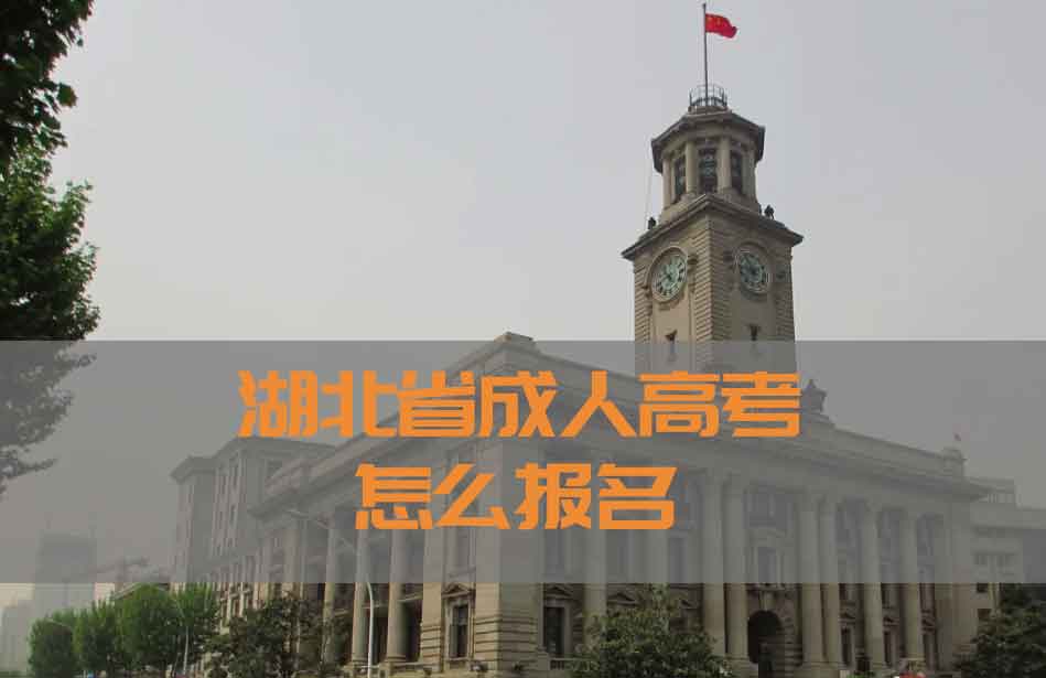 2022年湖北省成人高考怎么报名?报名具体流程!避坑指南!