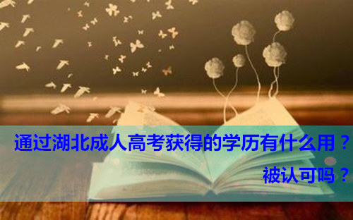 湖北成人学历可以考公务员吗？