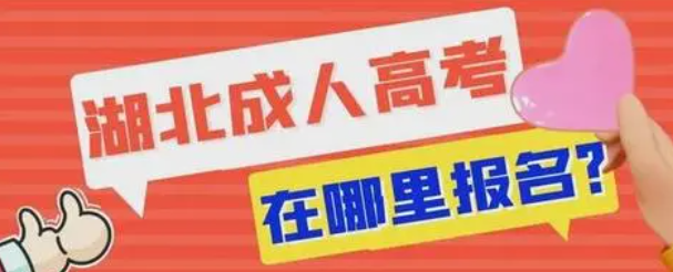 2022年湖北成人高考在哪里报名好？详细报名步骤