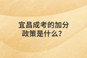 宜昌成考的加分政策是什么？