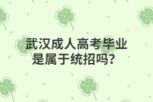 2022年湖北武汉成人高考毕业是属于统招吗？