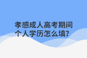 孝感成人高考期间个人学历怎么填？