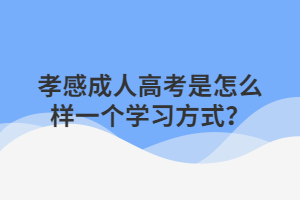 孝感成人高考是怎么样一个学习方式？