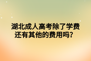 湖北成人高考除了学费还有其他的费用吗？