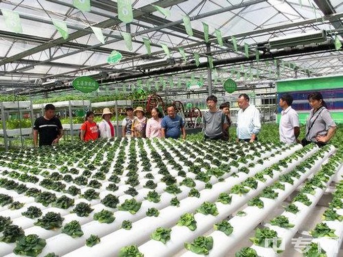 安徽省农业广播电视学校蔬菜种植
