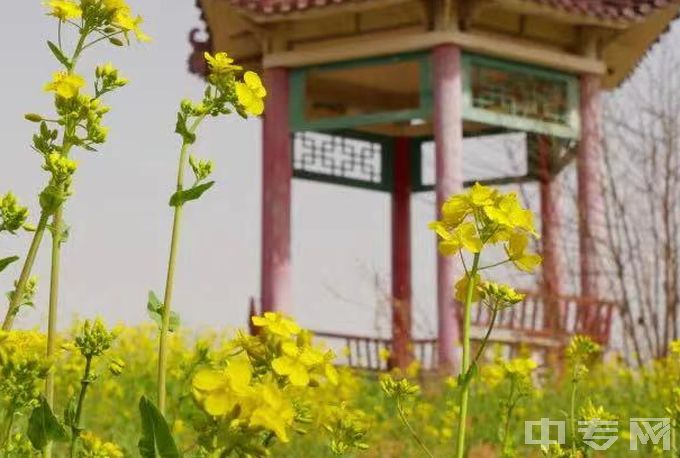 河北女子职业技术学院中专（中专部）学校风景