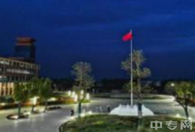 邓州市职业技术学校夜景