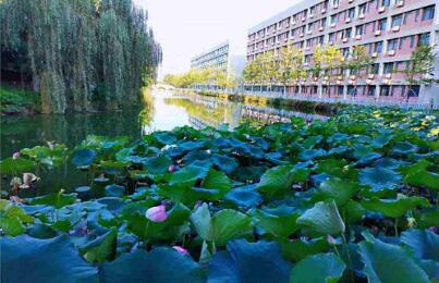 湖北经济学院校园风景.jpg