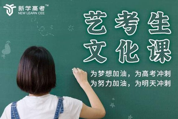 新学高考成都艺考生文化课补习班