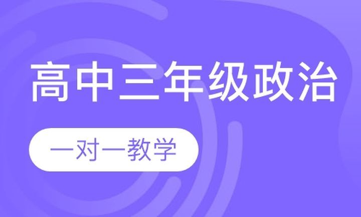 朴新无忧一对一高中三年级政治培训班