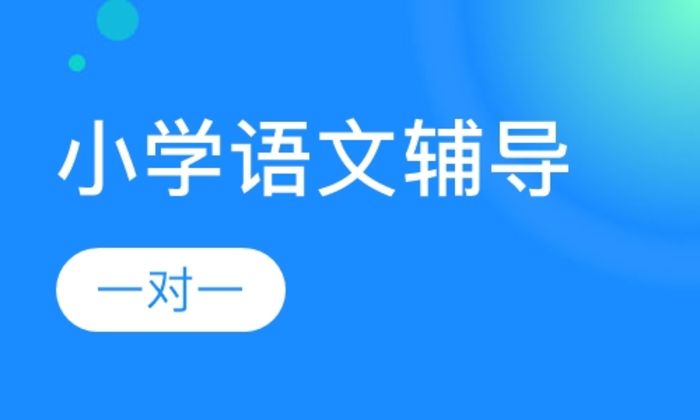 西安学大教育小学一对一语文辅导培训班