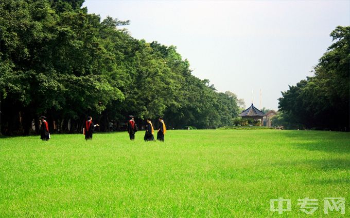 中山大学-中区草坪