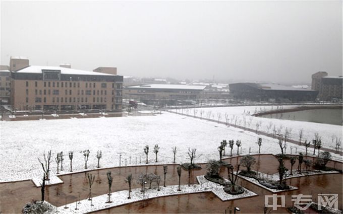 武汉晴川学院-冬天雪景