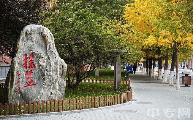 中国地质大学（北京）-地学摇篮