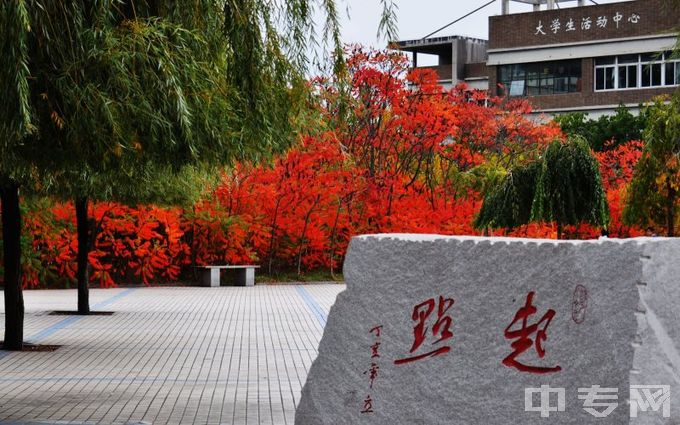 沈阳建筑大学-大学生活动中心侧