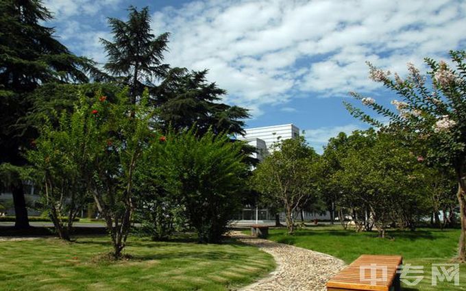 安徽电气工程职业技术学院-校园环境绿地