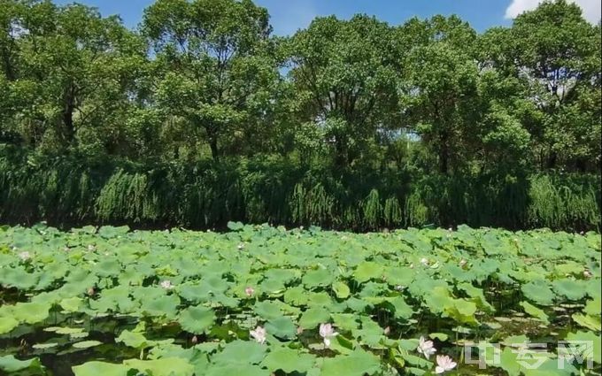 湖北第二师范学院-校园环境（1）