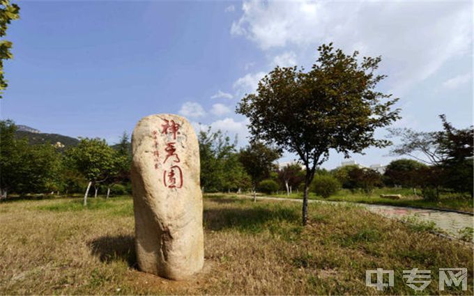 泰山学院-校园风光5