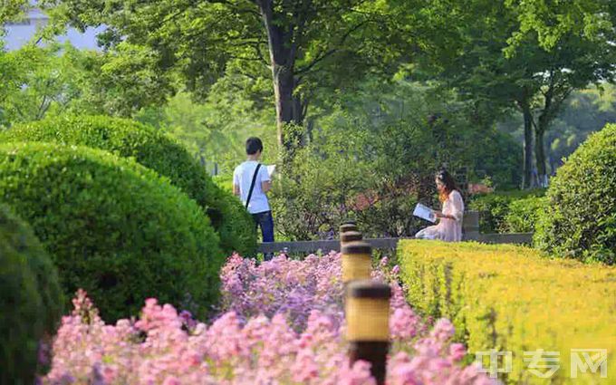 上海大学-校园风光8