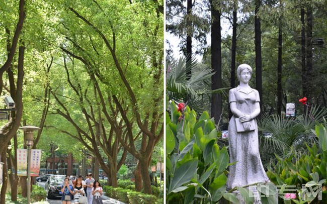 上海科学技术职业学院-校园风景(1)