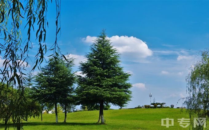 成都东软学院-校园风景11