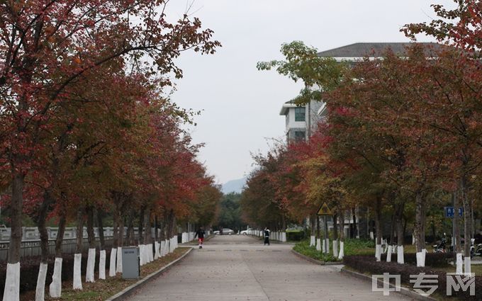 福建江夏学院-校园风景8