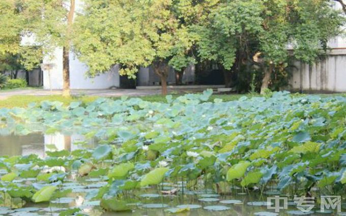 广东警官学院-荷花池