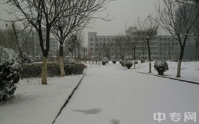 亳州职业技术学院-雪景