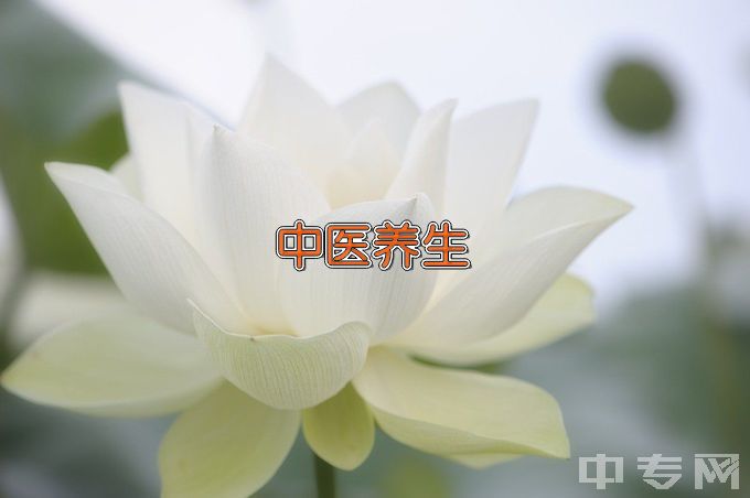 平罗县职业教育中心（宁夏卫生学校）中医养生保健