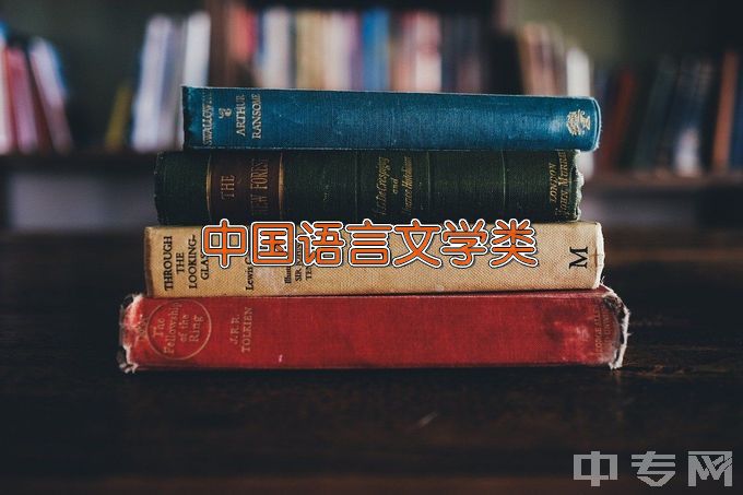 武汉大学中国语言文学类