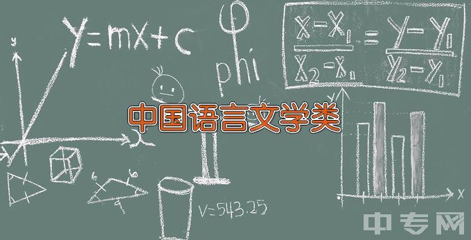 北京大学中国语言文学类