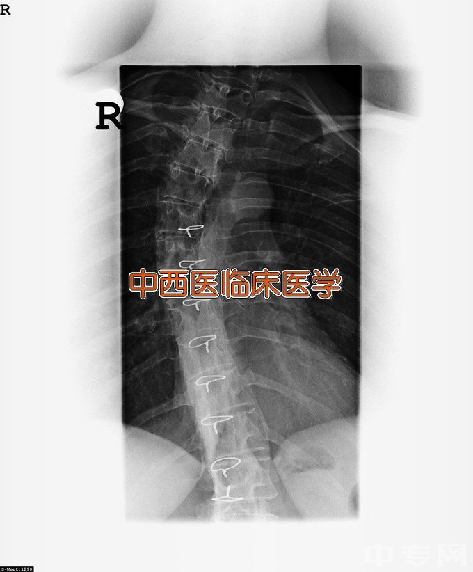 大连医科大学中西医临床医学