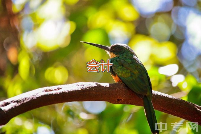 安阳学院大数据与会计