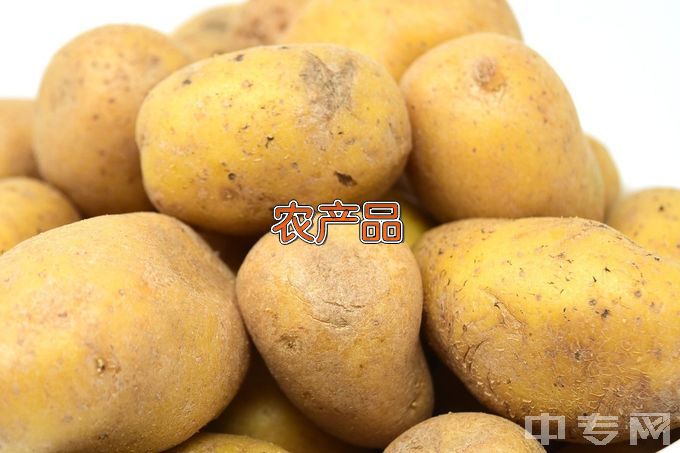 漯河食品职业学院农产品加工与质量检测