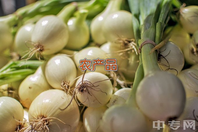 河南农业职业学院农产品加工与质量检测