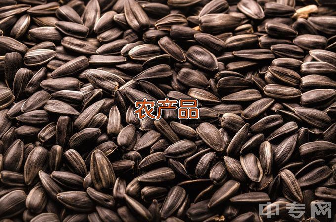 辽宁农业职业技术学院农产品加工与质量检测