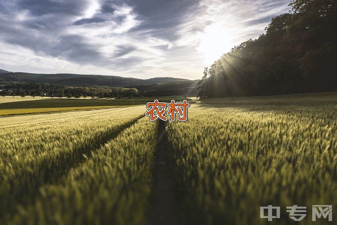 沈阳农业大学农村区域发展