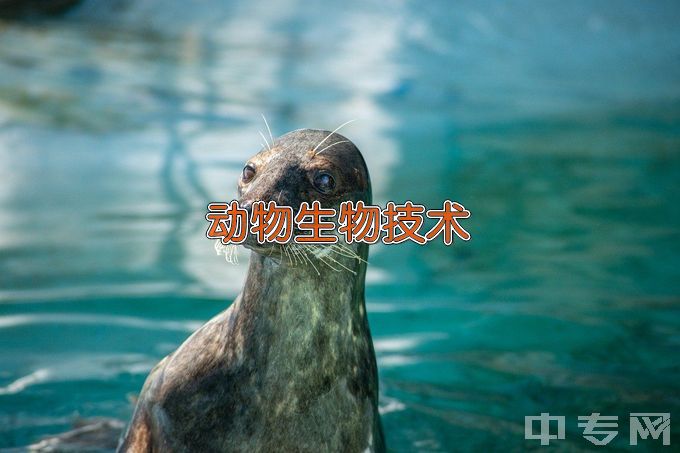 山东农业大学动物生物技术