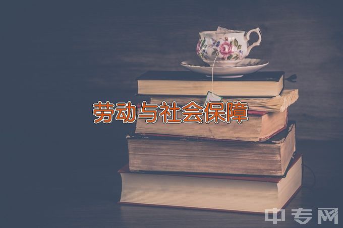 中南财经政法大学劳动与社会保障