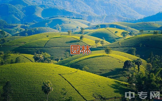 泰山职业技术学院园林技术