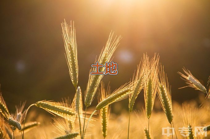 曲阜师范大学土地资源管理