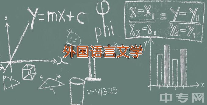 青岛大学外国语言文学类