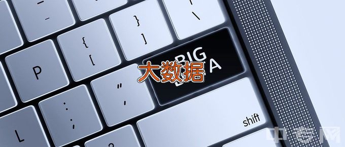 杭州万向职业技术学院大数据技术与应用