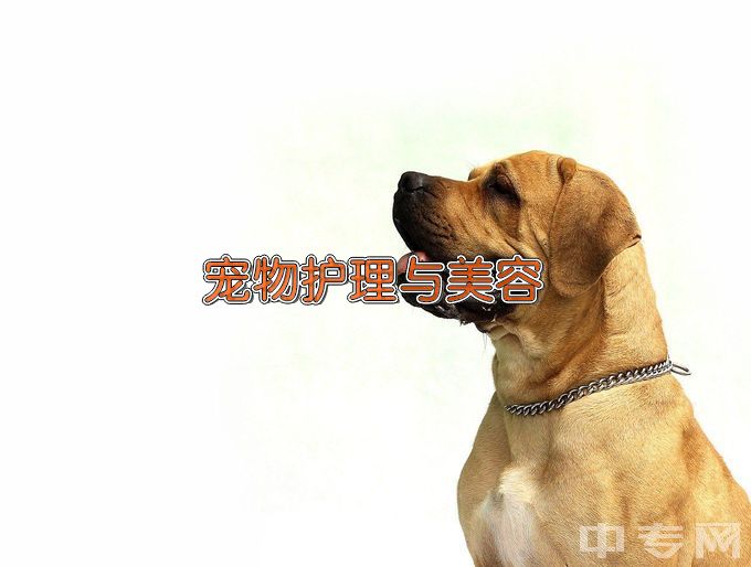 广西农牧工程学校宠物养护与经营